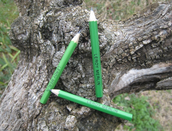 Crayons personnalisés sans bout gomme